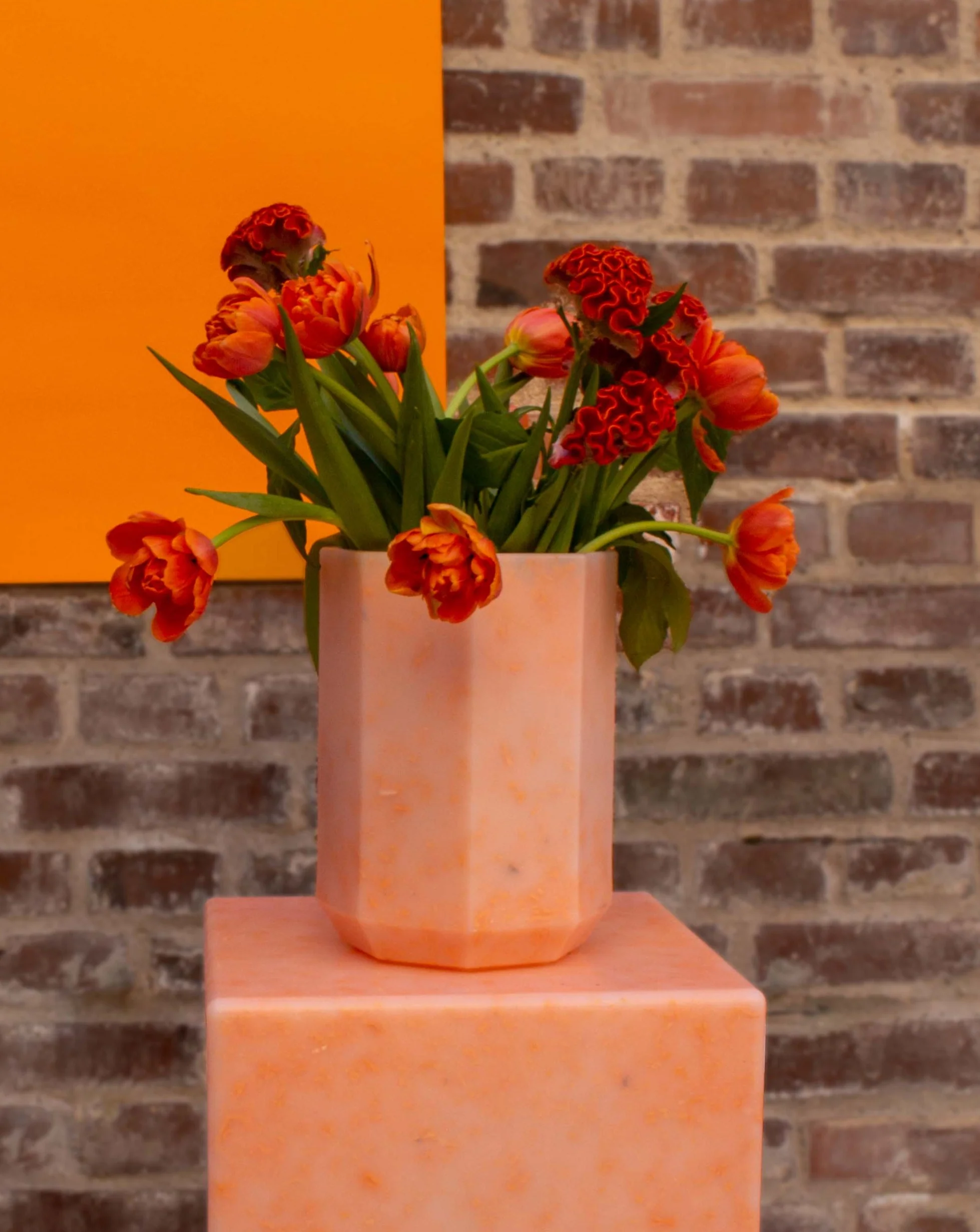 Miniatuur 1